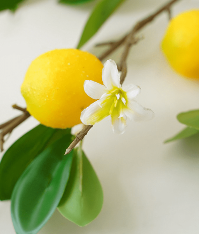 faux-citrons